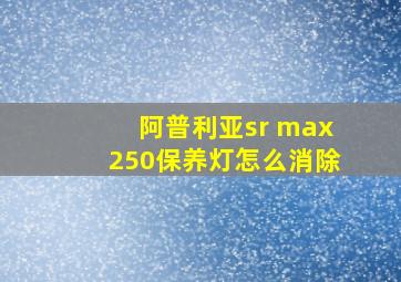 阿普利亚sr max250保养灯怎么消除